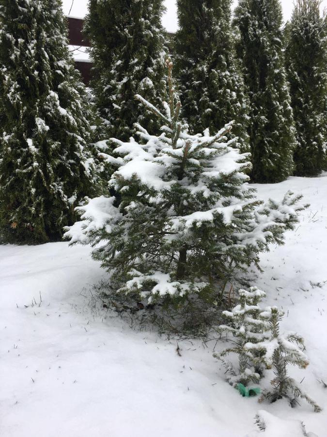 Zakatek Mikolajewo 14 Apartment Bagian luar foto